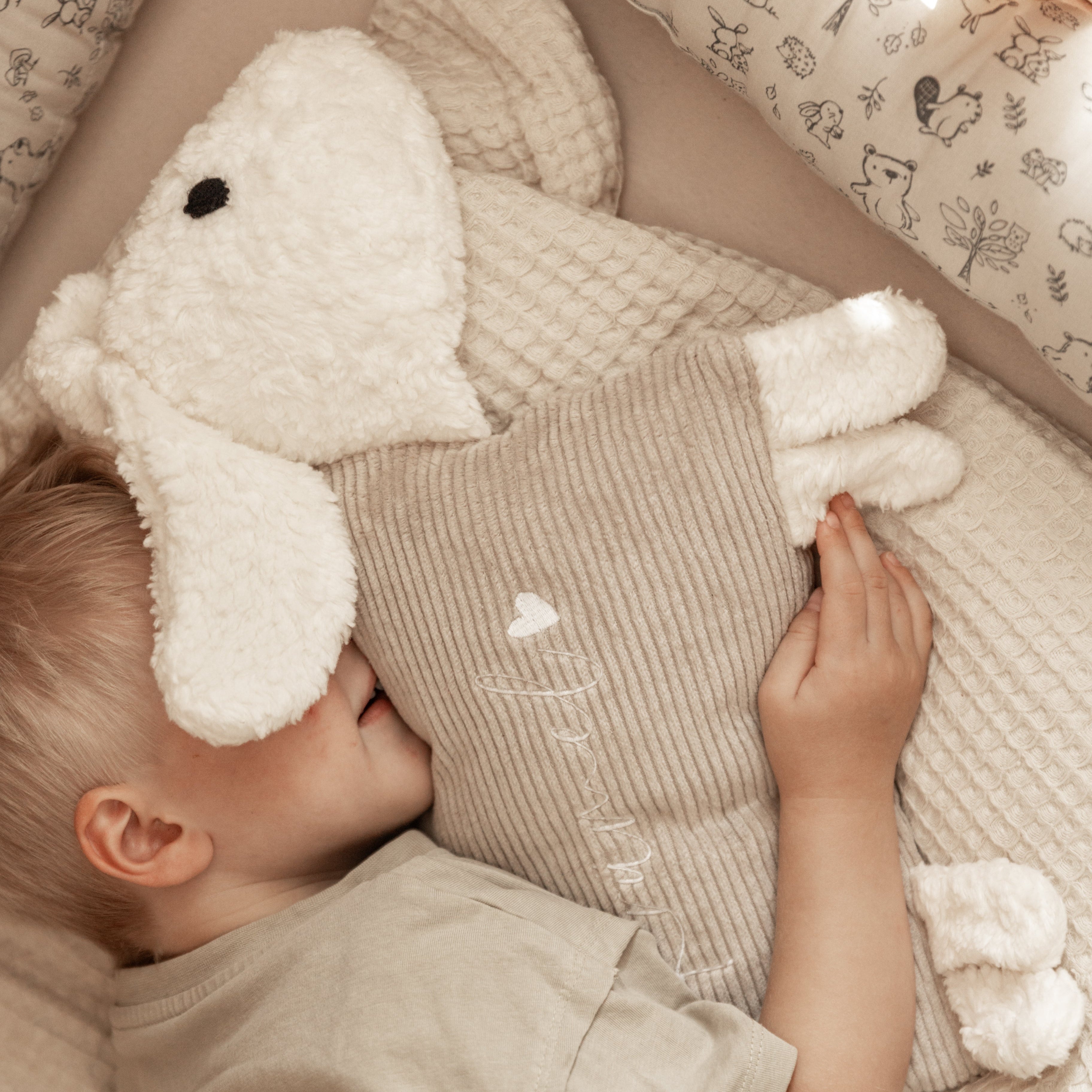 Kuschelhund Cord