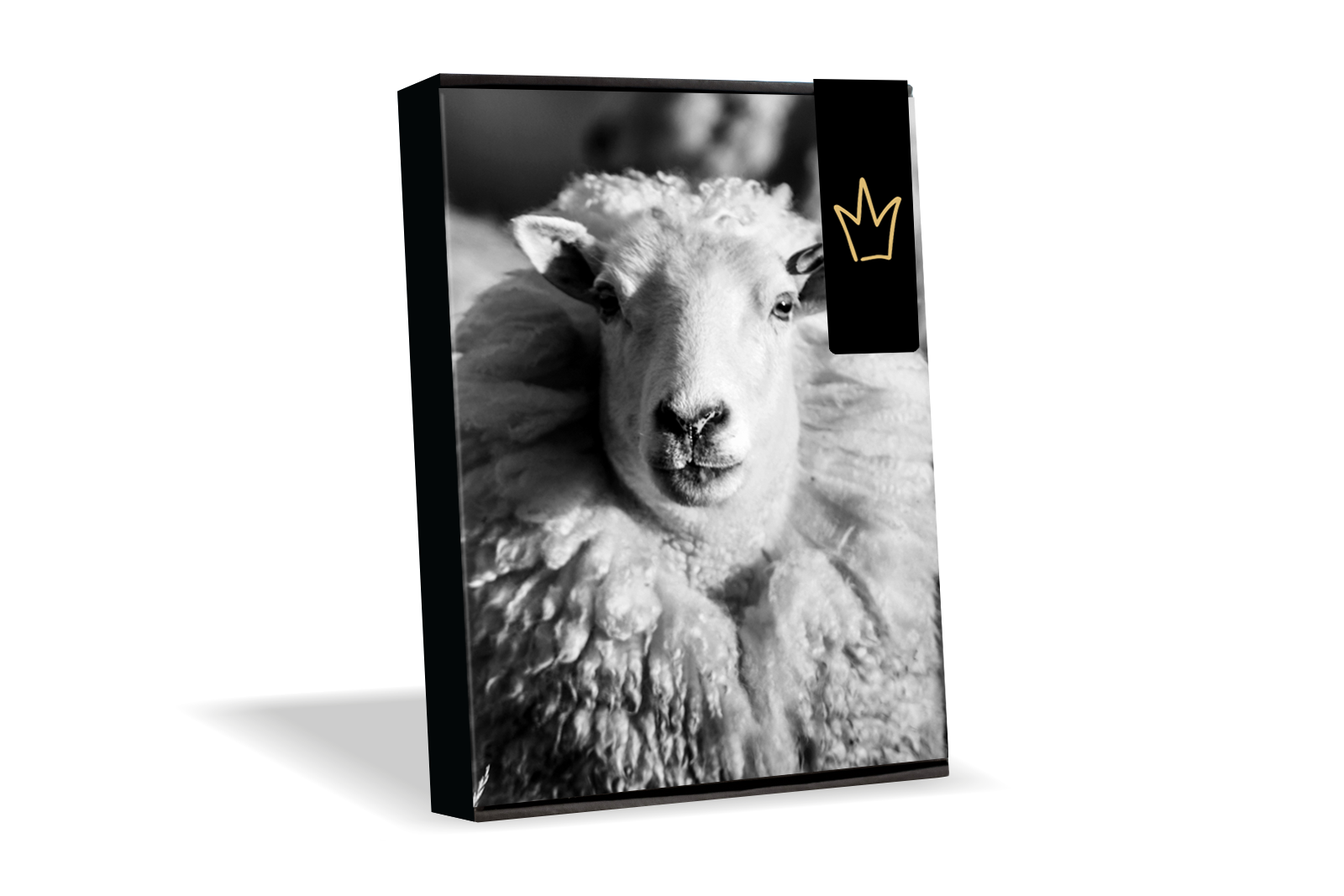 Pärchen Kuschel Merino-Wollsocken