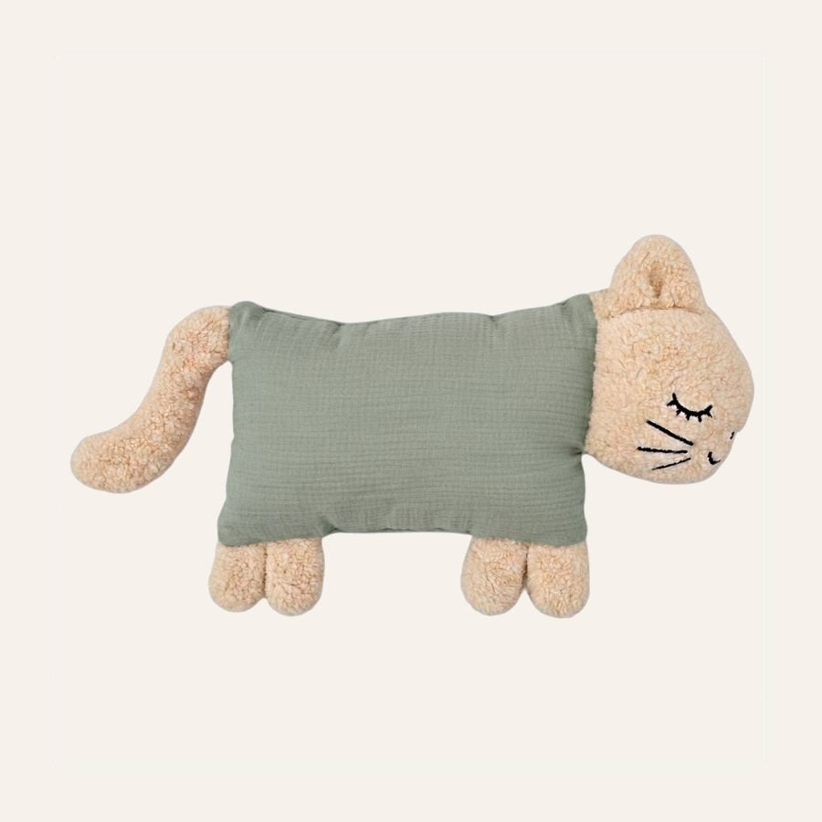 Kuschelkatze in Salbei