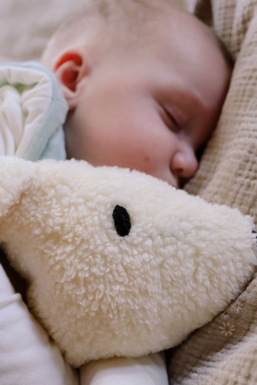 Nahaufnahme des weichen Teddyplüschs